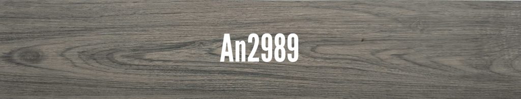 An2989
