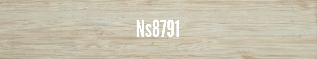 NS 8791