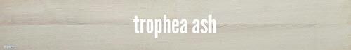Parket-Interwood-Trophea-Ash